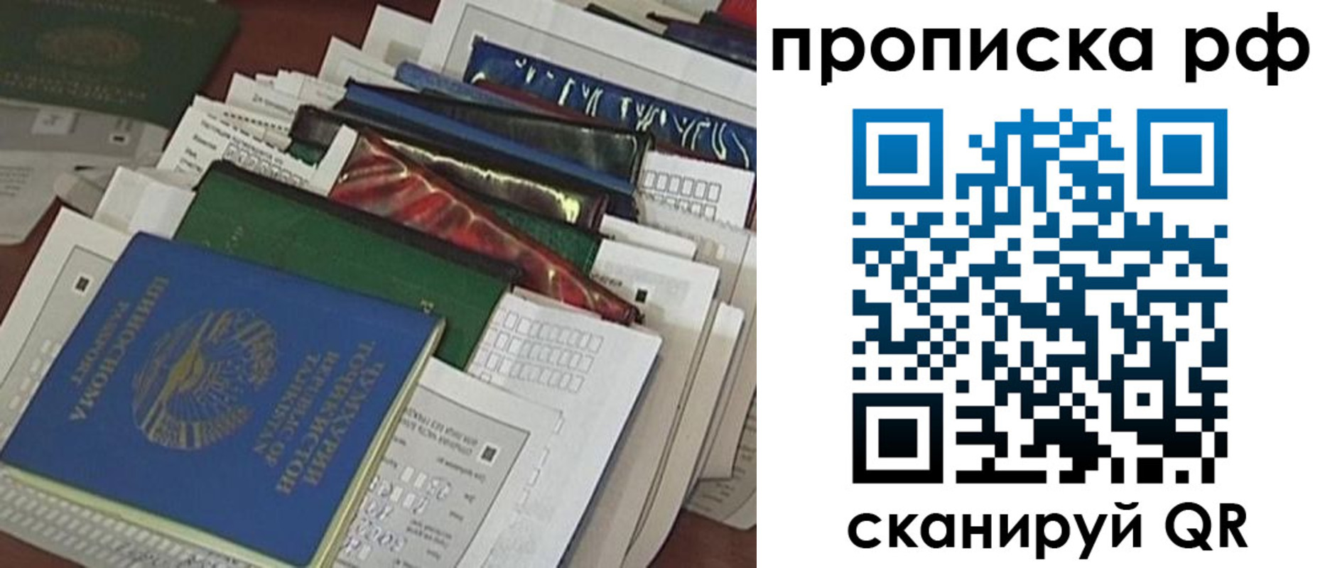 прописка в Электрогорске
